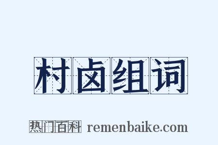 村卤组词是什么意思的图片
